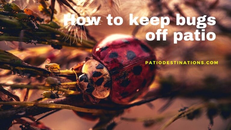 How to keep Bugs Off Patio | Patio bug Repellent Ideas