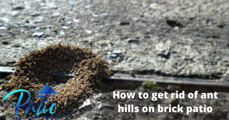 How to Get Rid of Ants Between Patio Bricks in 9 Ways