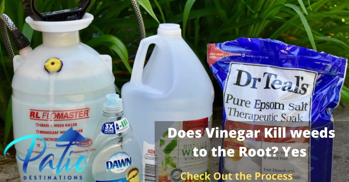 does vinegar kill weeds to root